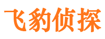 莱城私家调查公司